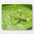 Search for cricket mousepads Green