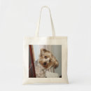 Search for yorkies bags Puppy