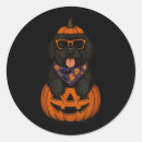 Search for newfies stickers Trick or treat
