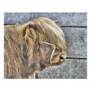 Search for bovine posters Animals