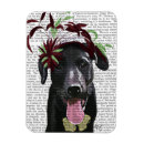 Search for fascination magnets Black labrador