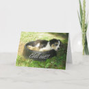 Search for chill out cards Fun