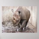 Search for rhinoceroses art Black