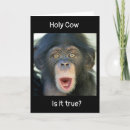 Search for surprise birthday cards Old