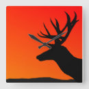 Search for elk clocks Hunting