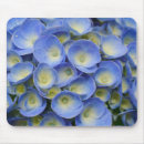 Search for macro electronics Floral