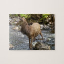 Search for red deer puzzles Wildlife