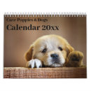 Search for christmas calendars Puppy