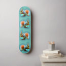 Search for squirrel skateboards Animal