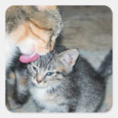 Search for bath time stickers Cute