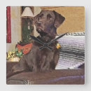 Search for labrador retriever clocks Photography