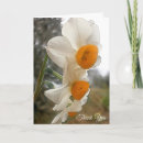 Search for narcissus cards Mum