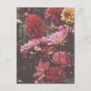 Search for fine art postcards Floral