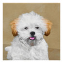 Search for lhasa posters Puppy