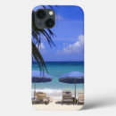 Search for caribbean cases West indies