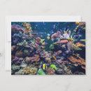 Search for coral reef cards Scuba diving