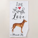 Search for pharaoh hound Kelb tal fenek