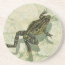 Search for toad coasters Frog