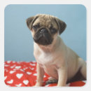 Search for bedroom labels Animal