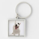 Search for bull key rings Dog