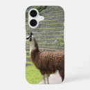 Search for incas iphone cases Machu picchu