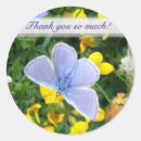 Search for blue nature stickers Butterfly