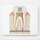 Search for bodied mousepads Human body part