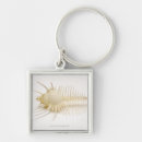 Search for simplicity key rings Animal