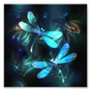 Search for dragonfly art Dragonflies
