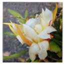 Search for dragon tiles Floral