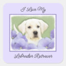 Search for labrador retriever dog stickers Puppy