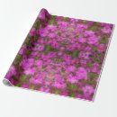 Search for rhododendrons gift wrap Azalea