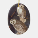 Search for white owl christmas tree decorations Nature