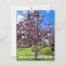 Search for cherry tree postcards Floral
