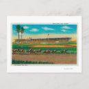 Search for horse postcards States