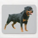 Search for rotties electronics Puppy
