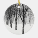 Search for bared christmas tree decorations Nature