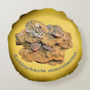 Search for leopard gecko gifts Geckos