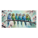Search for budgie art Budgerigars