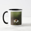 Search for ladybird mugs Animal