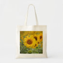 Search for sunflower sympathy gifts Floral