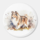 Search for shelties magnets Pet