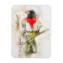 Search for ornithology magnets Ornithologist