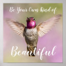 Search for bird lovers posters Hummingbird