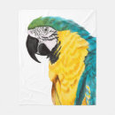 Search for parrot blankets Watercolor