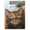 Search for cat clipboards Animal