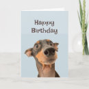 Search for funny old man birthday cards Friend