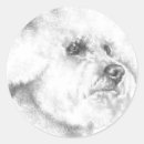 Search for purebred stickers Dogs