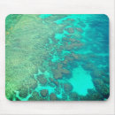 Search for coral reef mousepads Sea