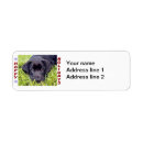 Search for black lab return address labels Puppy